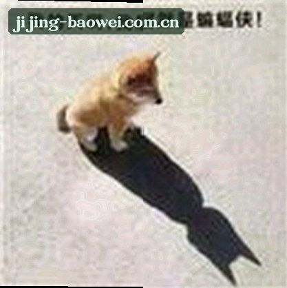 赵丽